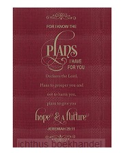 Lux Leather Journal For I know the plans