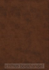 Archaeology Study Bible