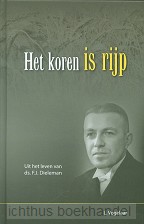 Koren is rijp