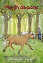Pepijn de pony