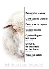 A4-bord schaap