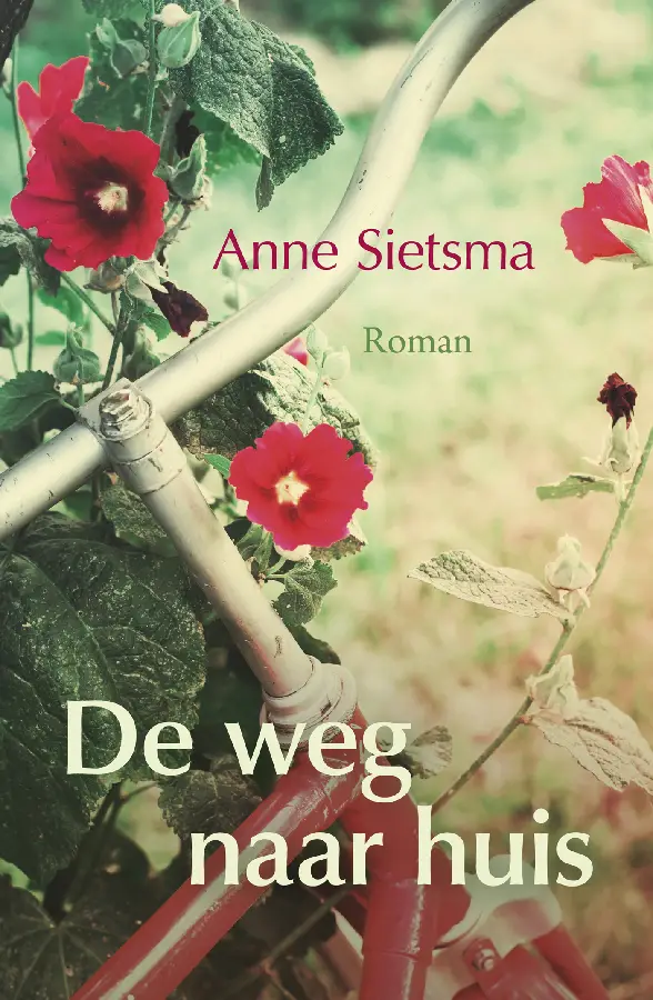 De weg naar huis