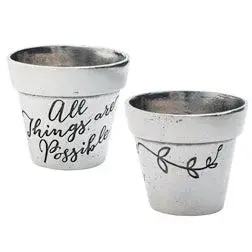 Mustard seed grow kit