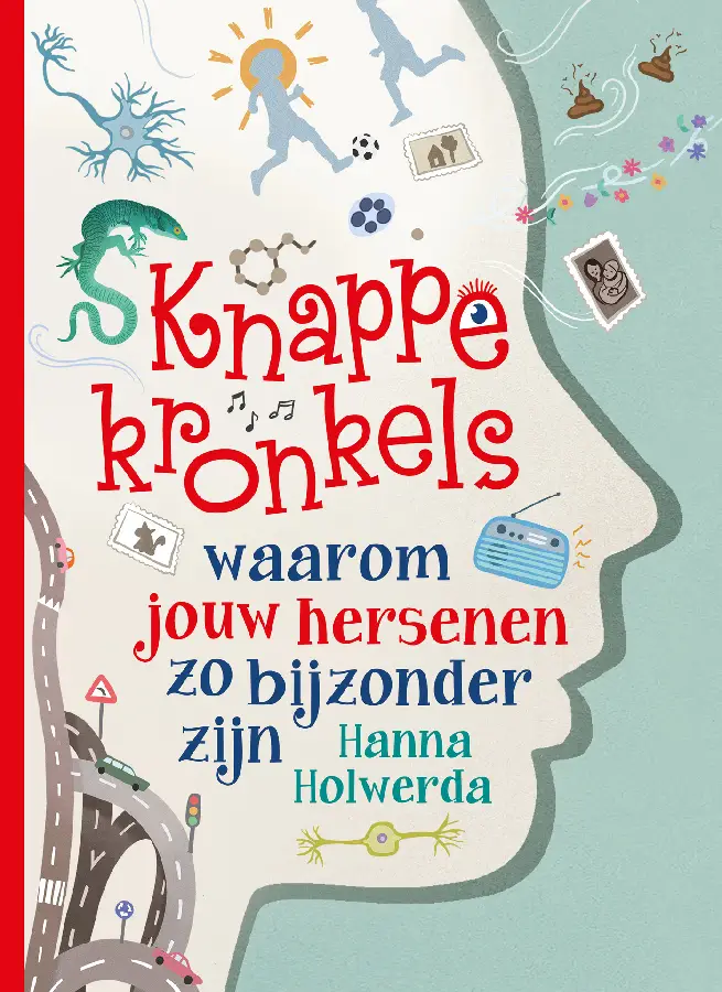Knappe kronkels, waarom jouw hersenen