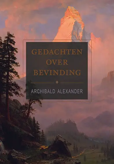 gedachten over bevinding