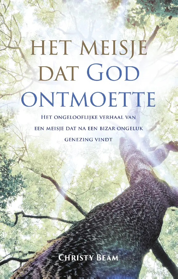 Het meisje dat God ontmoette