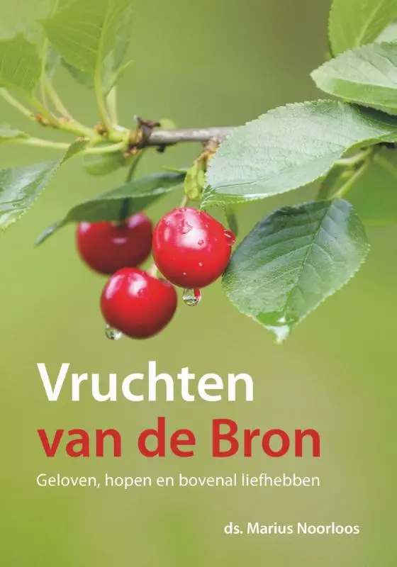 vruchten van de bron