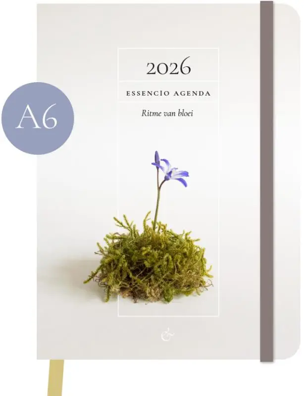 Agenda 2026 klein a6