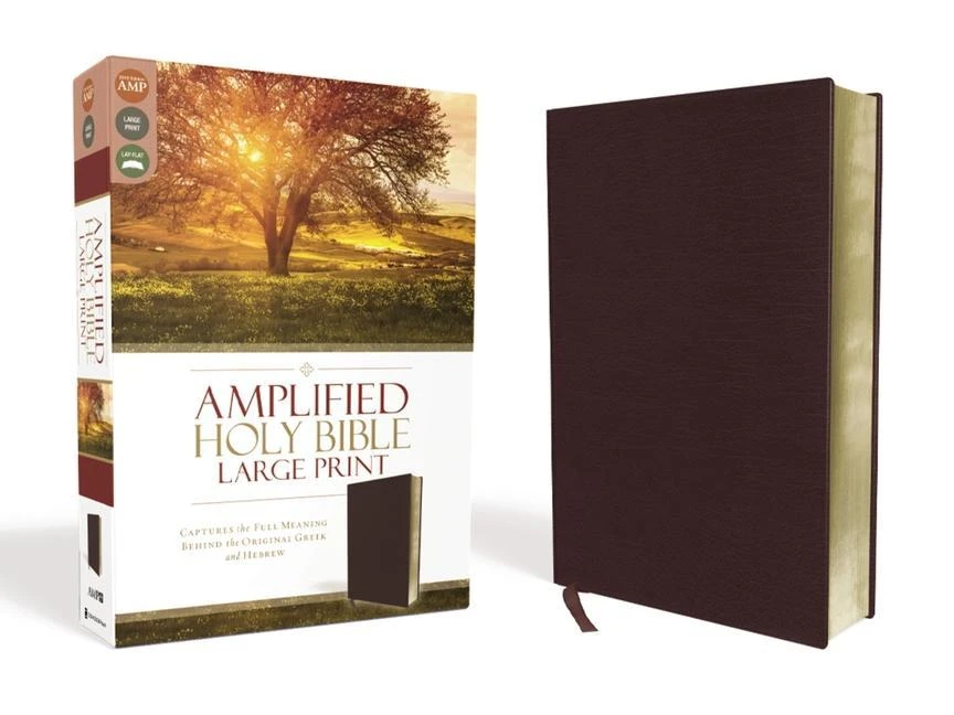 Amplified Bible Leather Large Print
