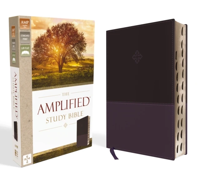 Amplified Study Bible, Imitation Leather