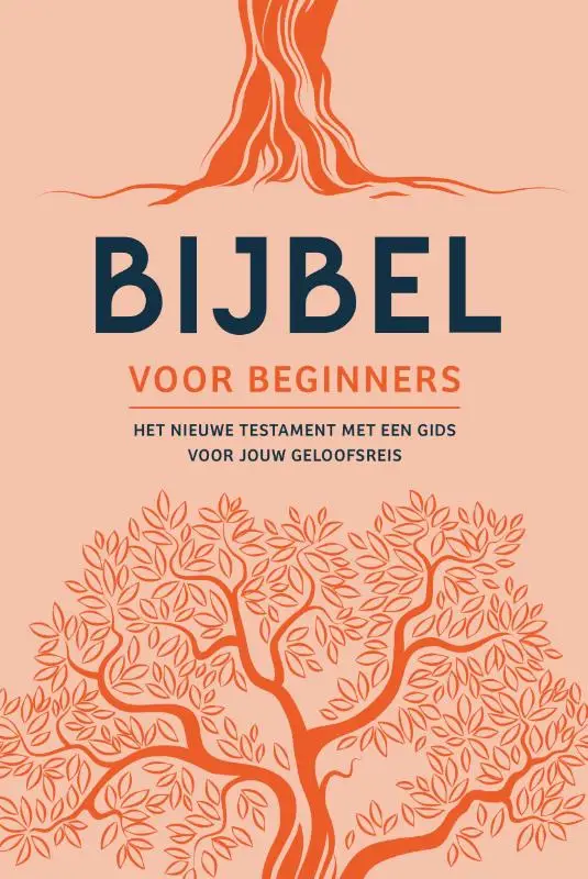 Bijbel voor beginners NT met gids