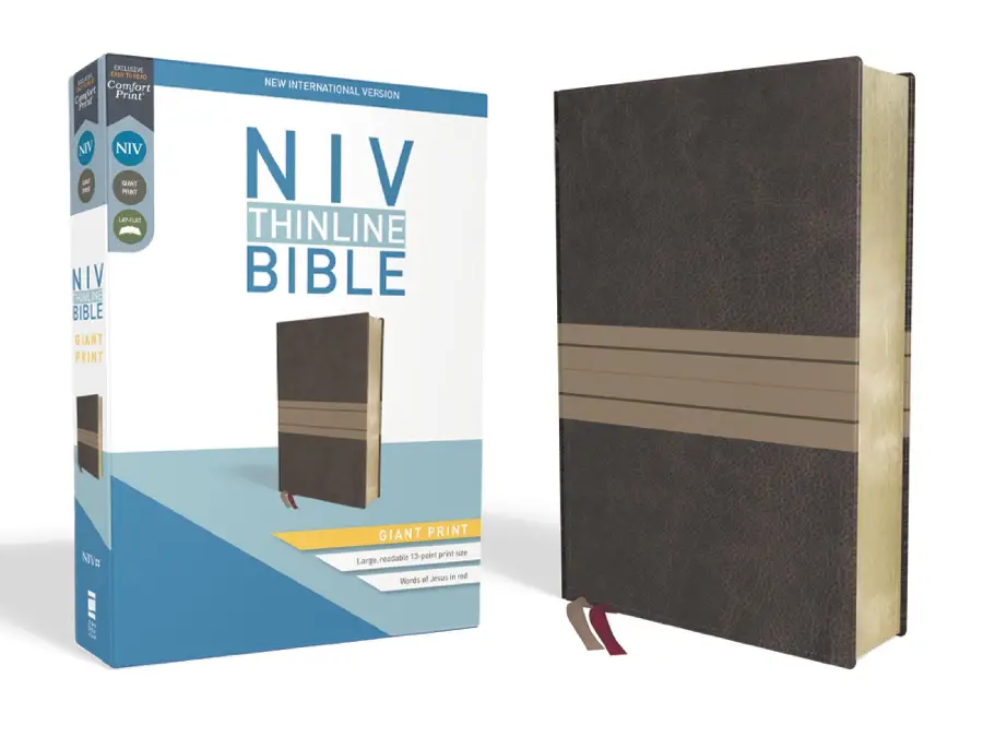Bible NIV Giant Print