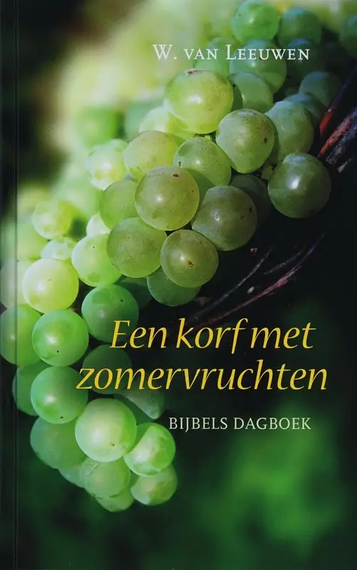Korf met zomervruchten