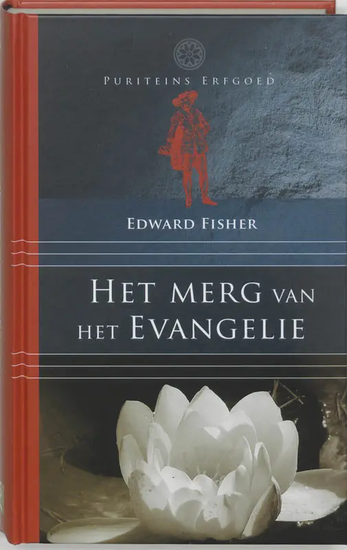 Het merg van het evangelie / druk 1